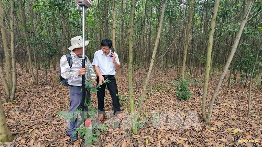 Vị trí cao tốc Biên Hòa-Vũng Tàu