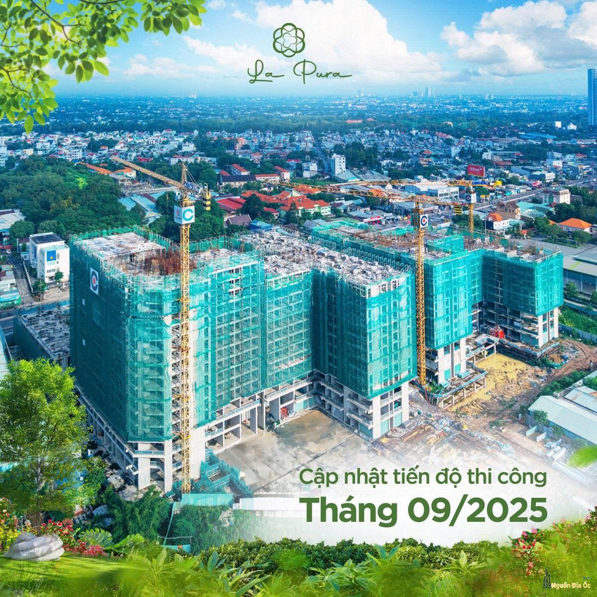 Tiến độ La Pura