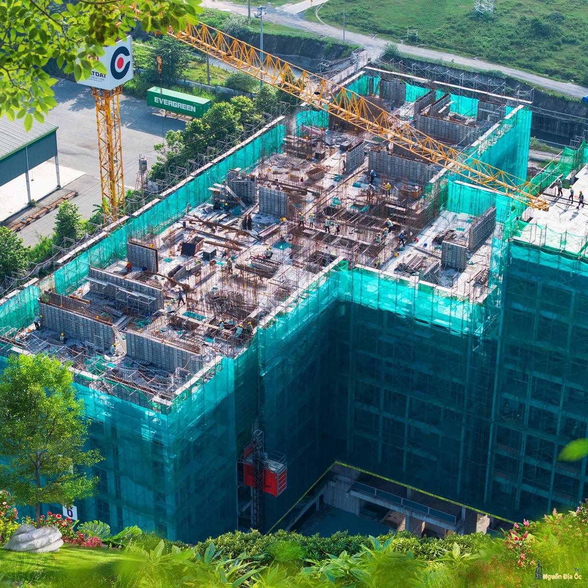 Tiến độ La Pura