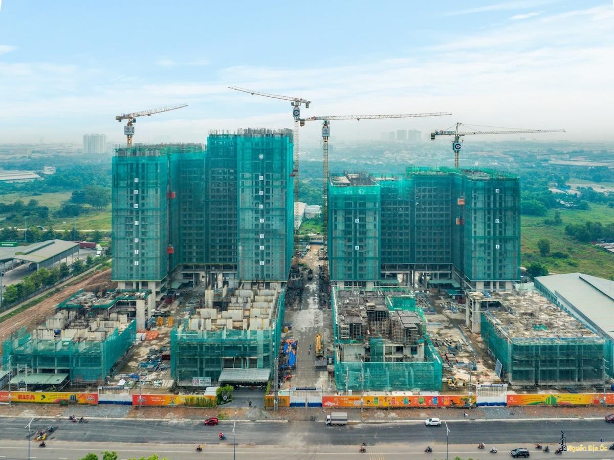 Tiến độ La Pura